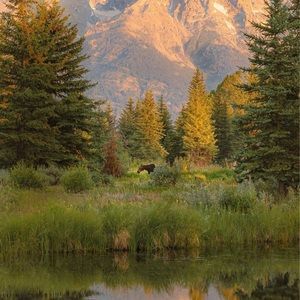 Meet your Posher, Natalia